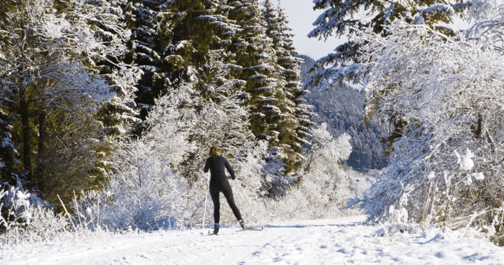 cross country ski nutrition tips