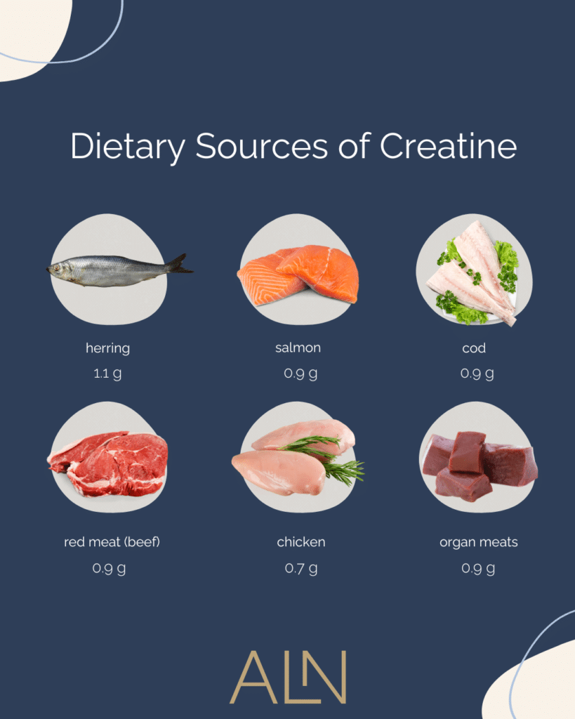 Dietary natural sources of creatine