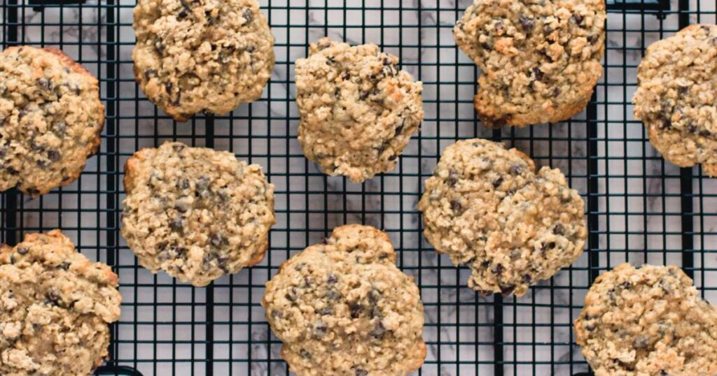 Best Lactation Cookies Recipe for the Active Mom Alex Larson Nutrition