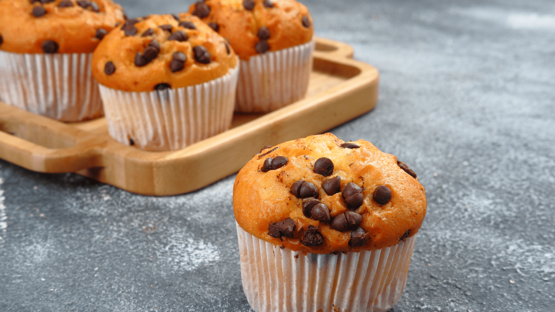 chocolate chip protein muffins